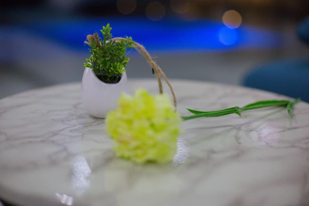 Villa Enjoy Lux In Split Dış mekan fotoğraf